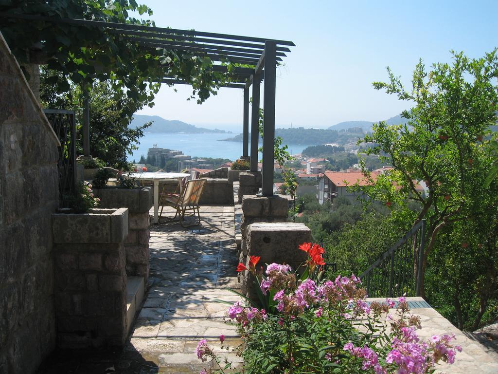 Cucuk Budva